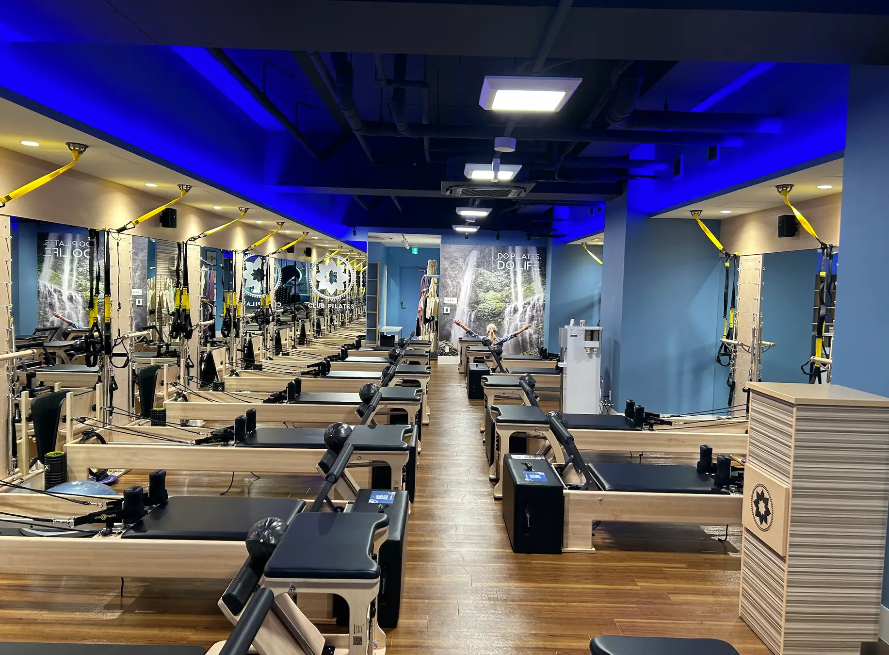 ギャラリー画像