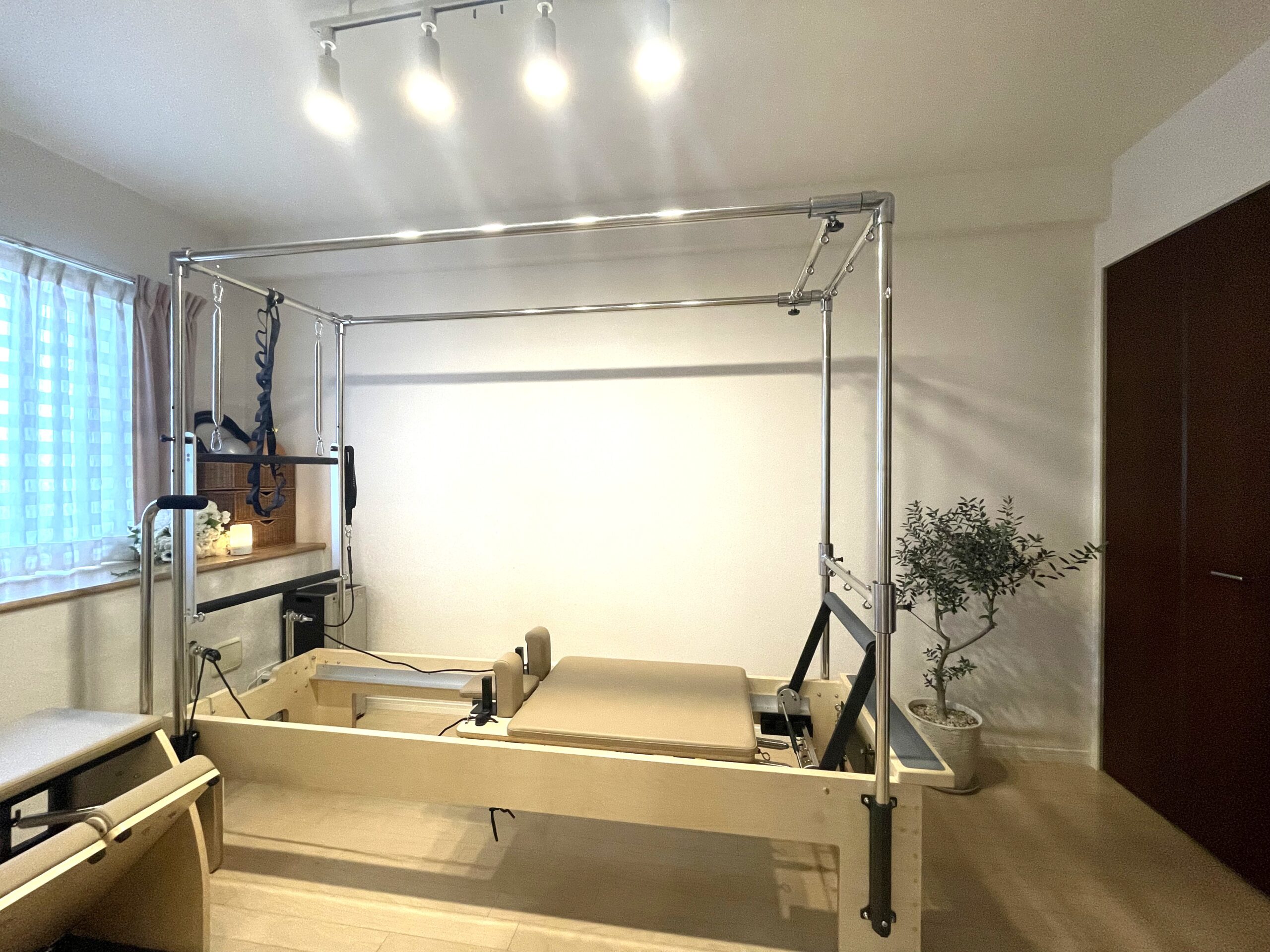 Olive Tree「オリーブツリー」